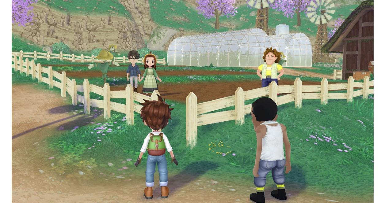 Story of Seasons: A Wonderful Life Premium - Nintendo Switch