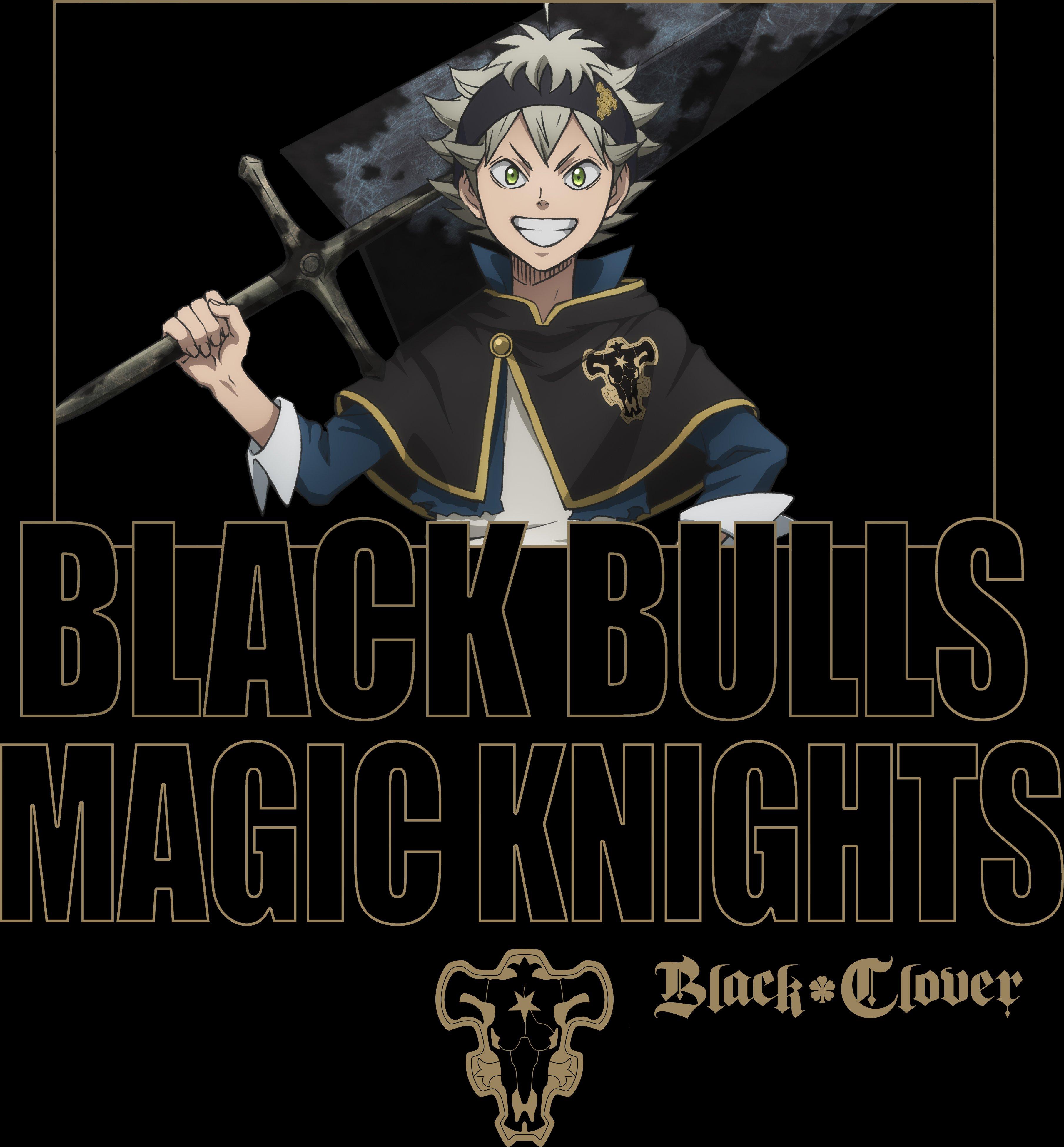 Black clover black bulls cheap hoodie