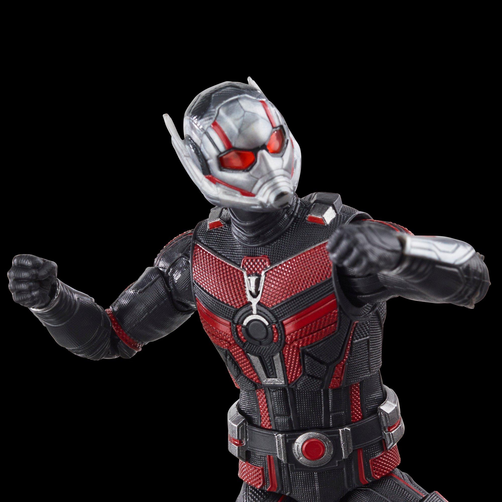  Marvel Legends Series Ant-Man,Ant-Man & The Wasp: Quantumania  Collectible 6-Inch Action Figures, Ages 4 and Up : Toys & Games