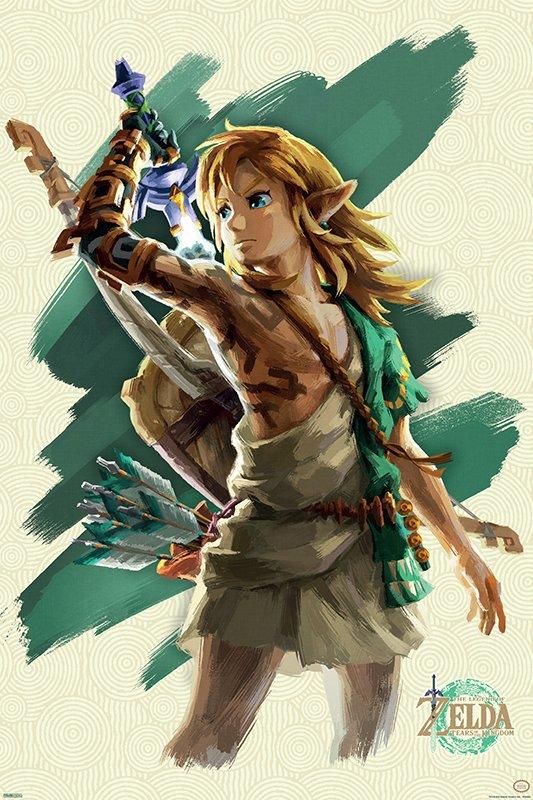 The Legend of Zelda: Tears of the Kingdom Link with Sword 24-in x 36-in