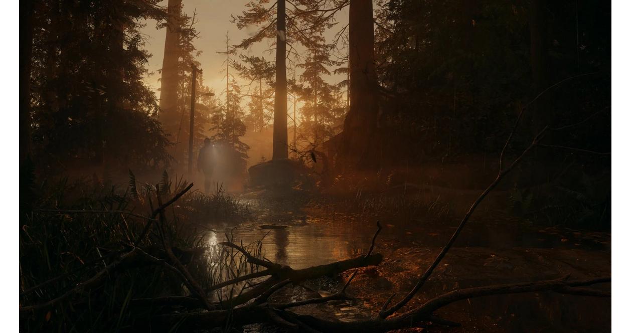 Alan Wake 2 Deluxe Edition - PlayStation 5