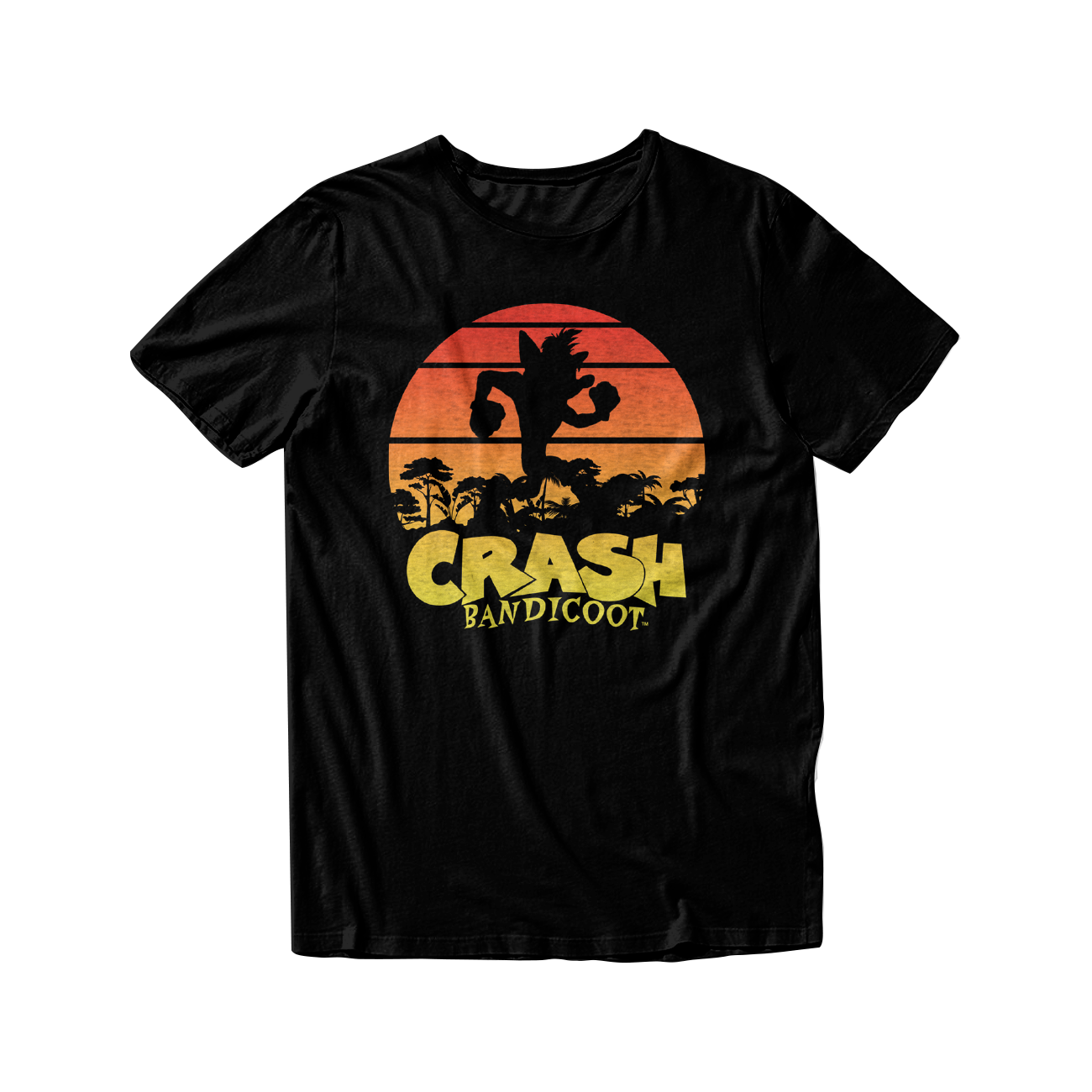 Hollister crash bandicoot shirt best sale