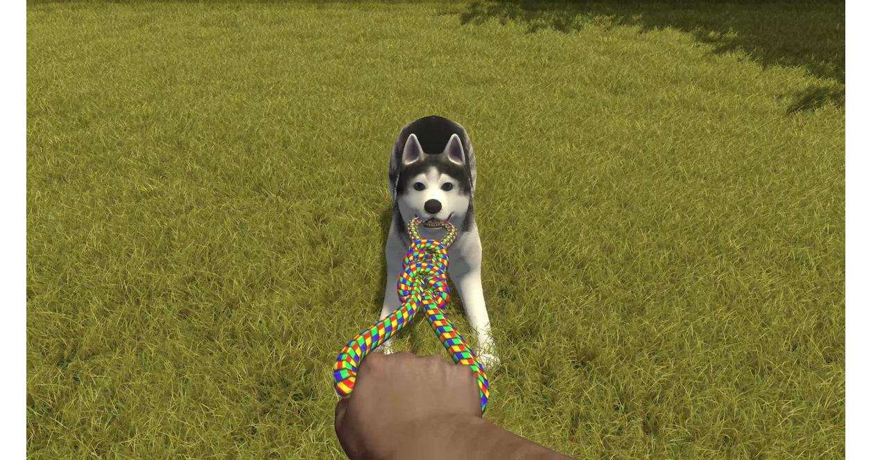 House Flipper: Pets Edition - PlayStation 4
