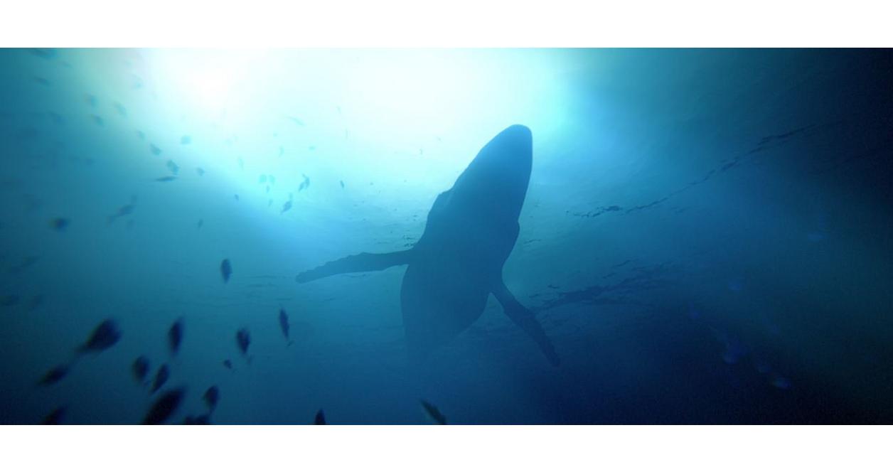Under The Waves - PlayStation 4