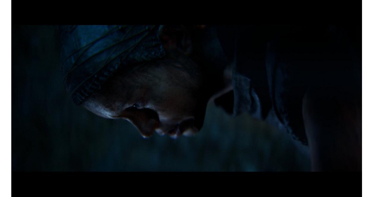 Senua's Saga: Hellblade II - Xbox Series X, WIndows