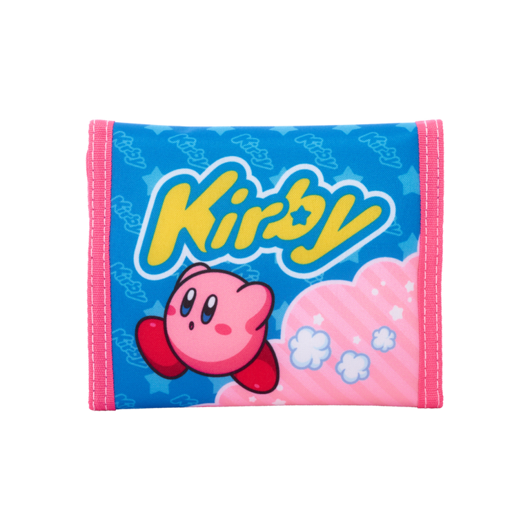 Nintendo Switch POST CARD HOLDER P'sclub seta Amazon.com: CYKOARMOR Game Card Case Holder for Nitendo