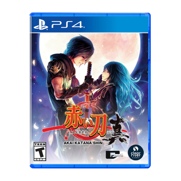 sakana KAWASAKI NINJA ZX-6R ABS 2022 PATTERN,WHEEL,BLK/GRN,1350X4