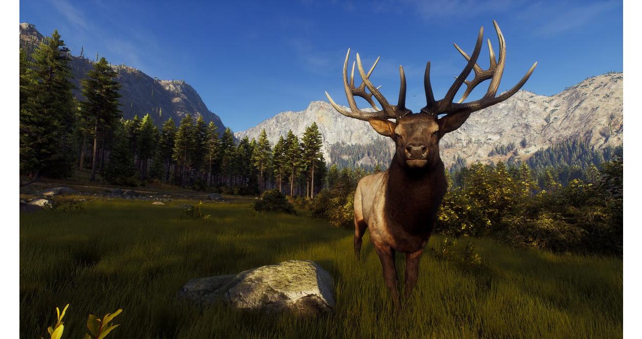 Way of the Hunter - Hunting Season One - Xbox Series X