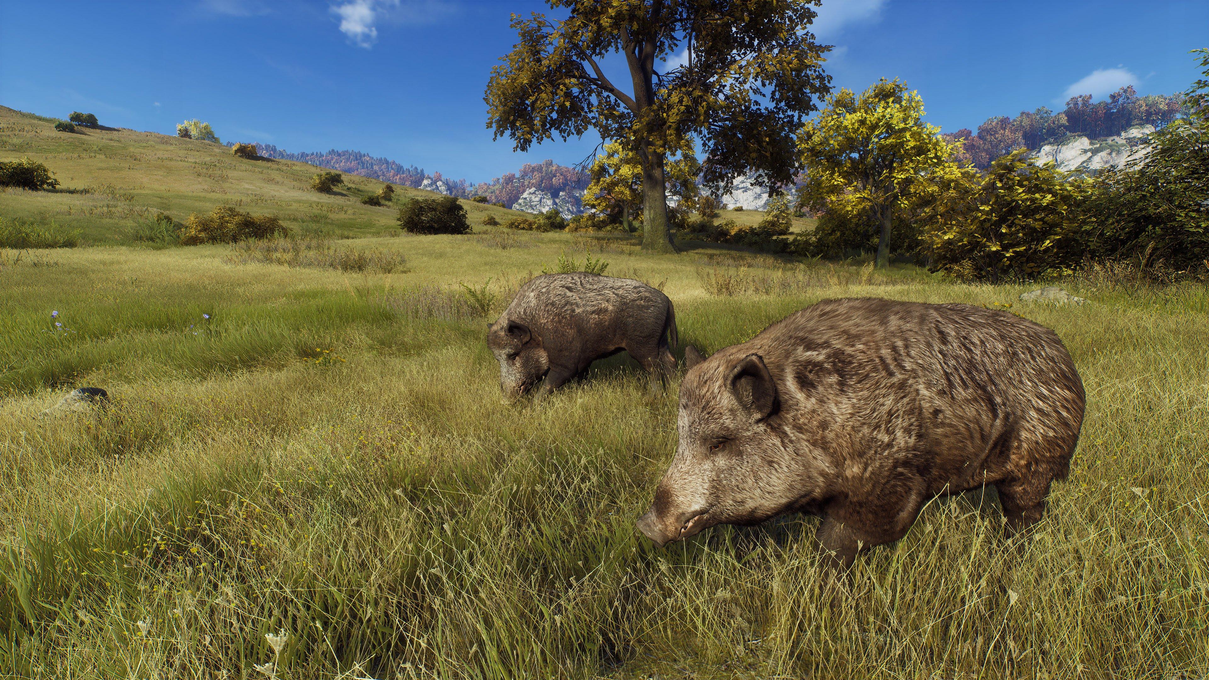 Way of the Hunter - Hunting Season One - Xbox Series X