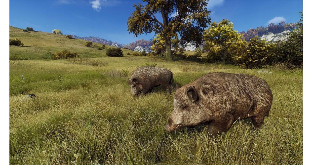 Way of the Hunter - Hunting Season One - Xbox Series X