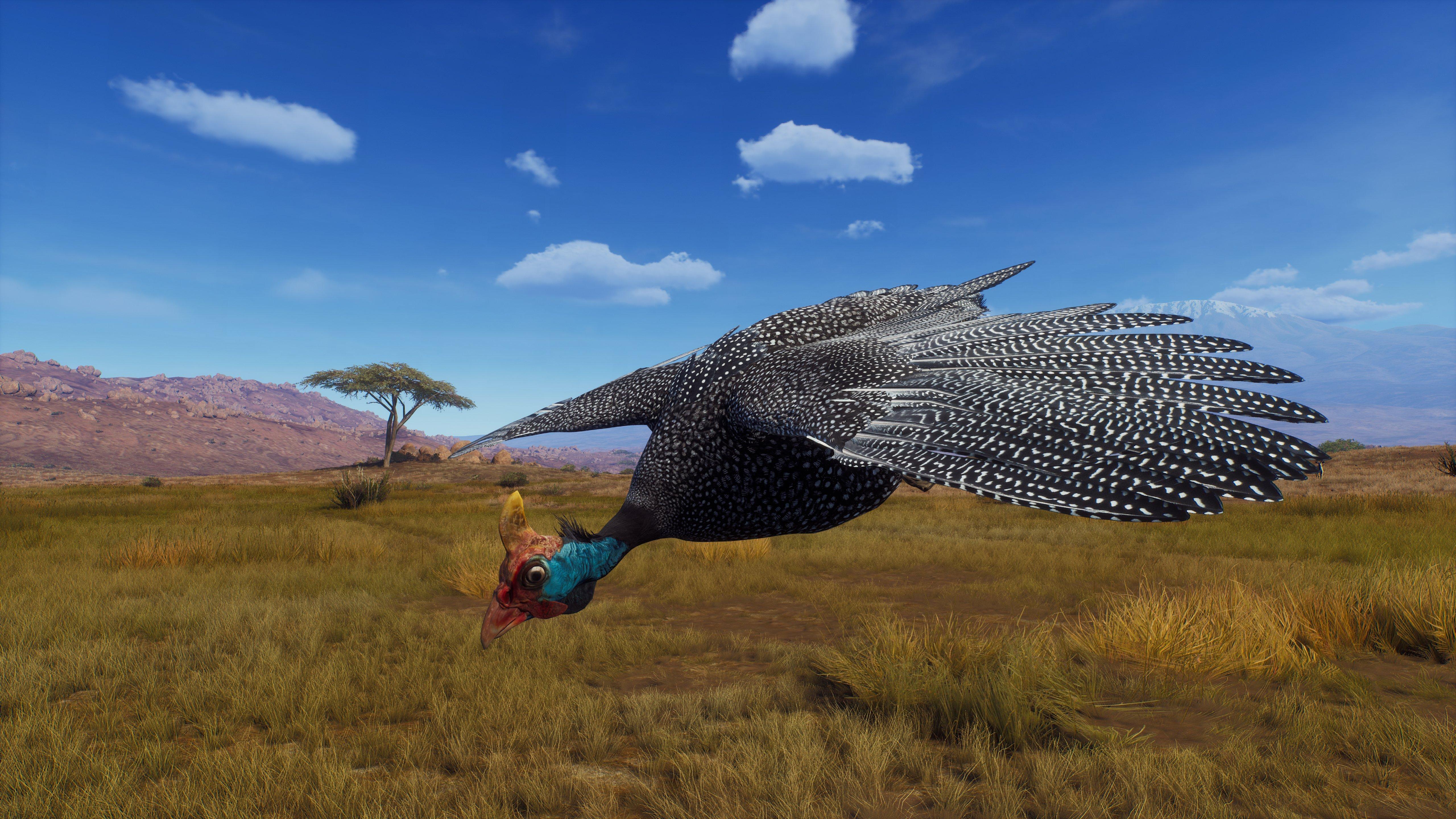 Way of the Hunter - Hunting Season One - Xbox Series X