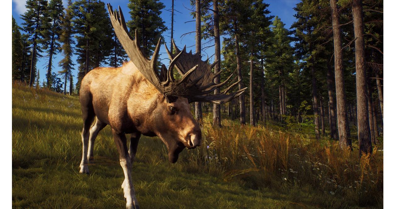 Way of the Hunter - Hunting Season One - Xbox Series X