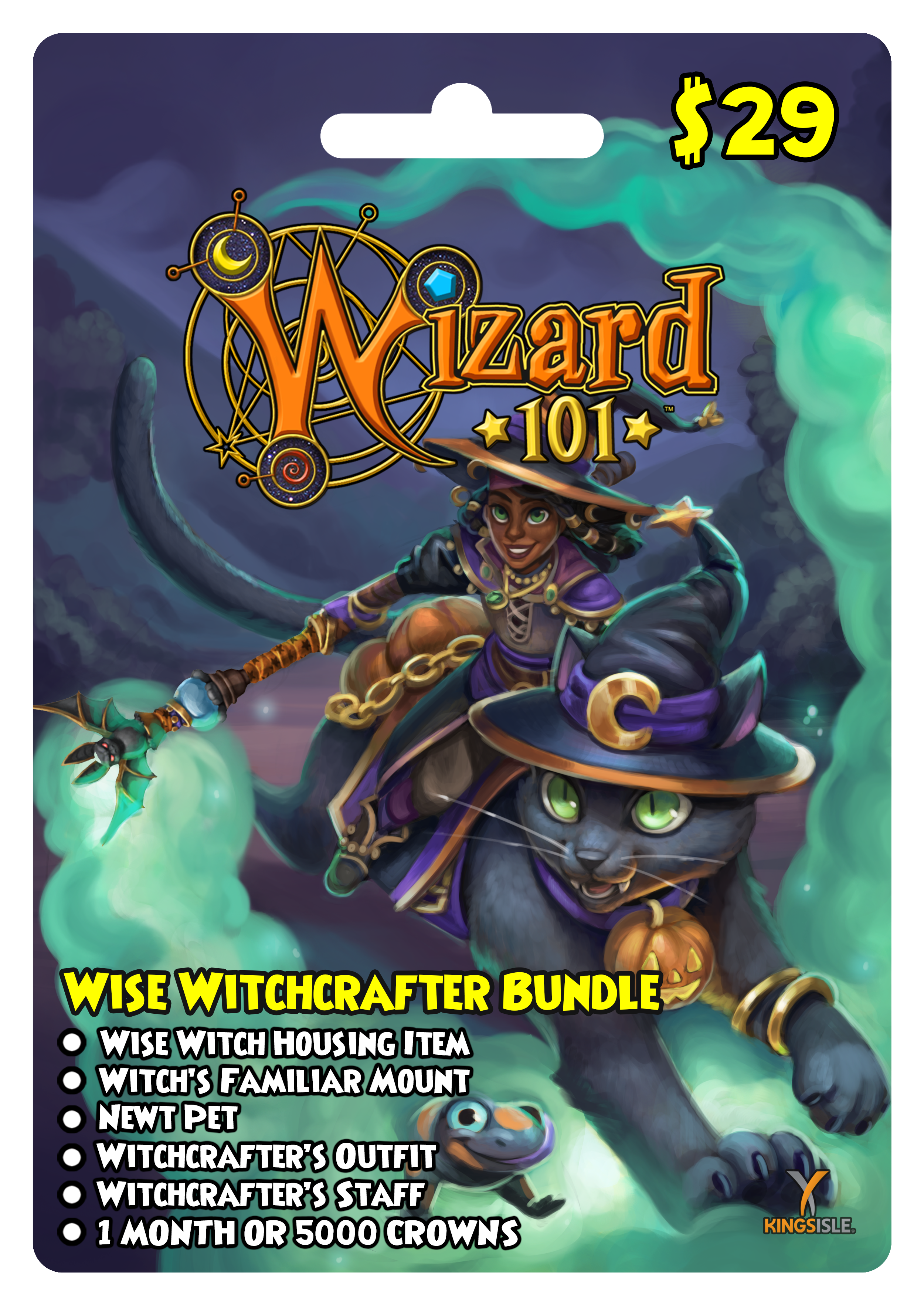 wizard101 account