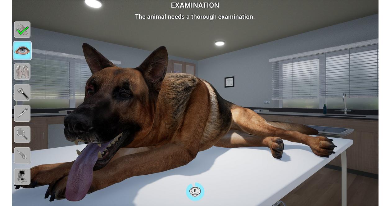 My Life: Pet Vet - Nintendo Switch
