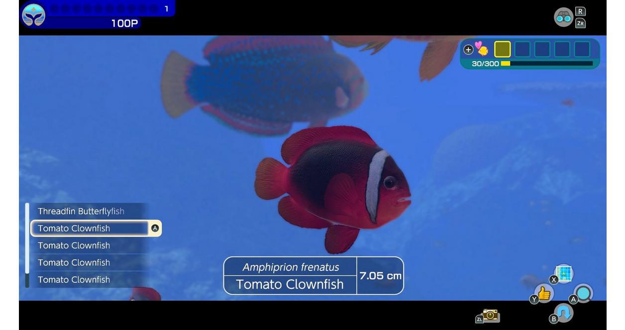 Endless Ocean Luminous - Nintendo Switch | Nintendo | GameStop