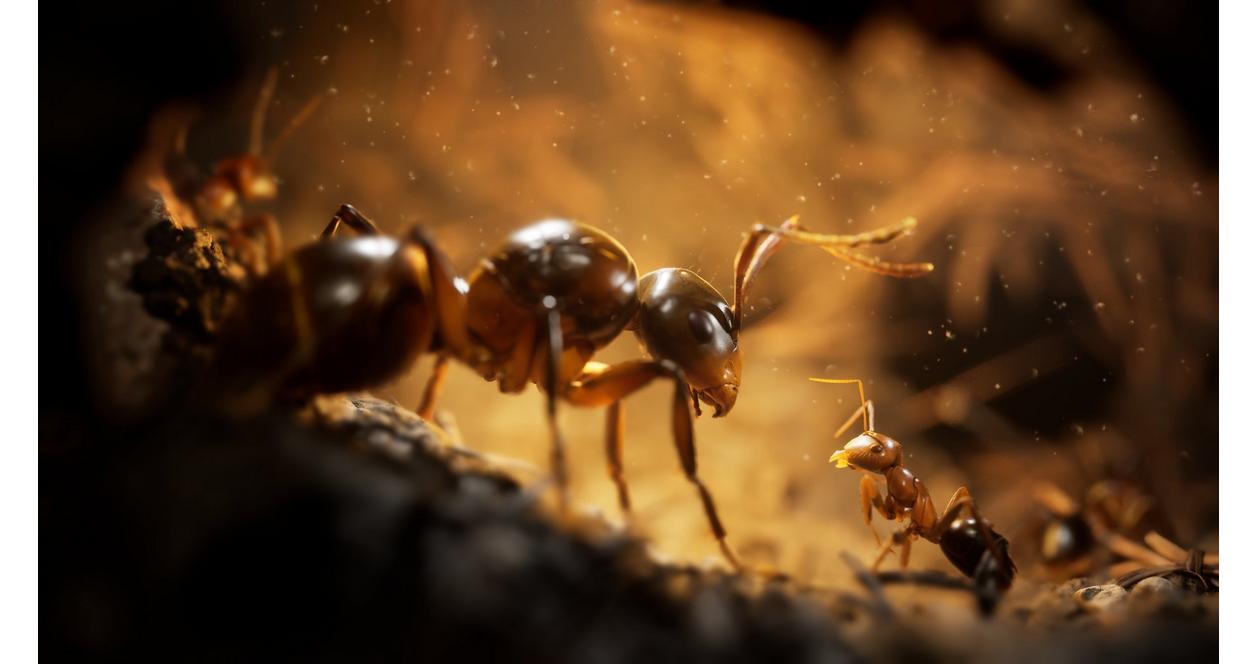Empire of the Ants - Xbox Series X
