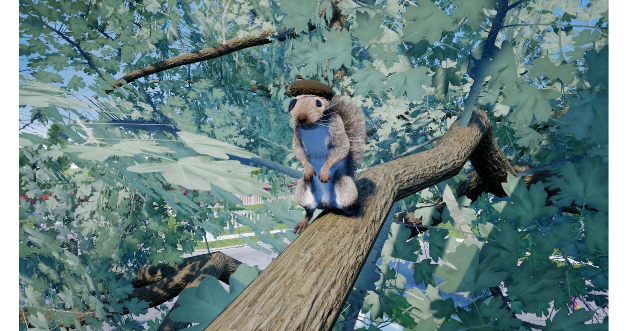 Squirrel With A Gun - PlayStation 5