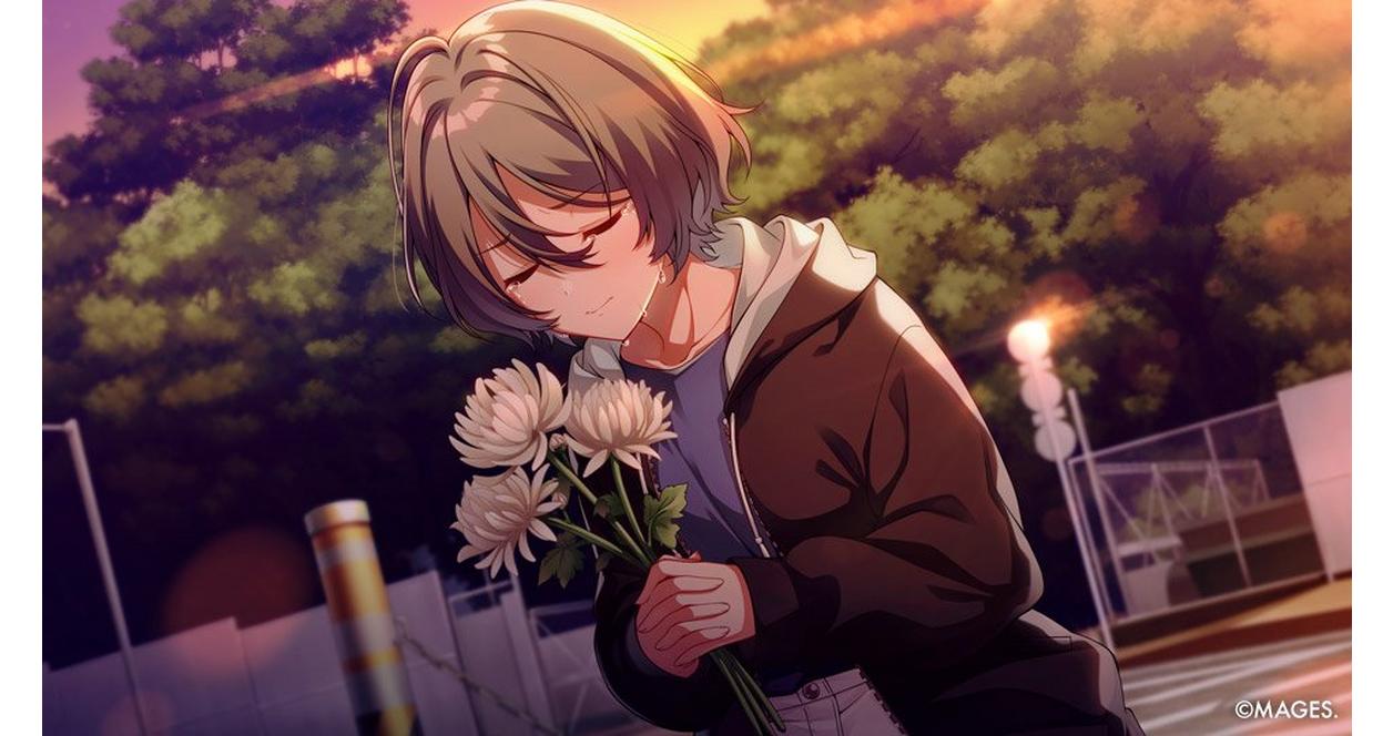SINce Memories: Off the Starry Sky - Nintendo Switch | PQube