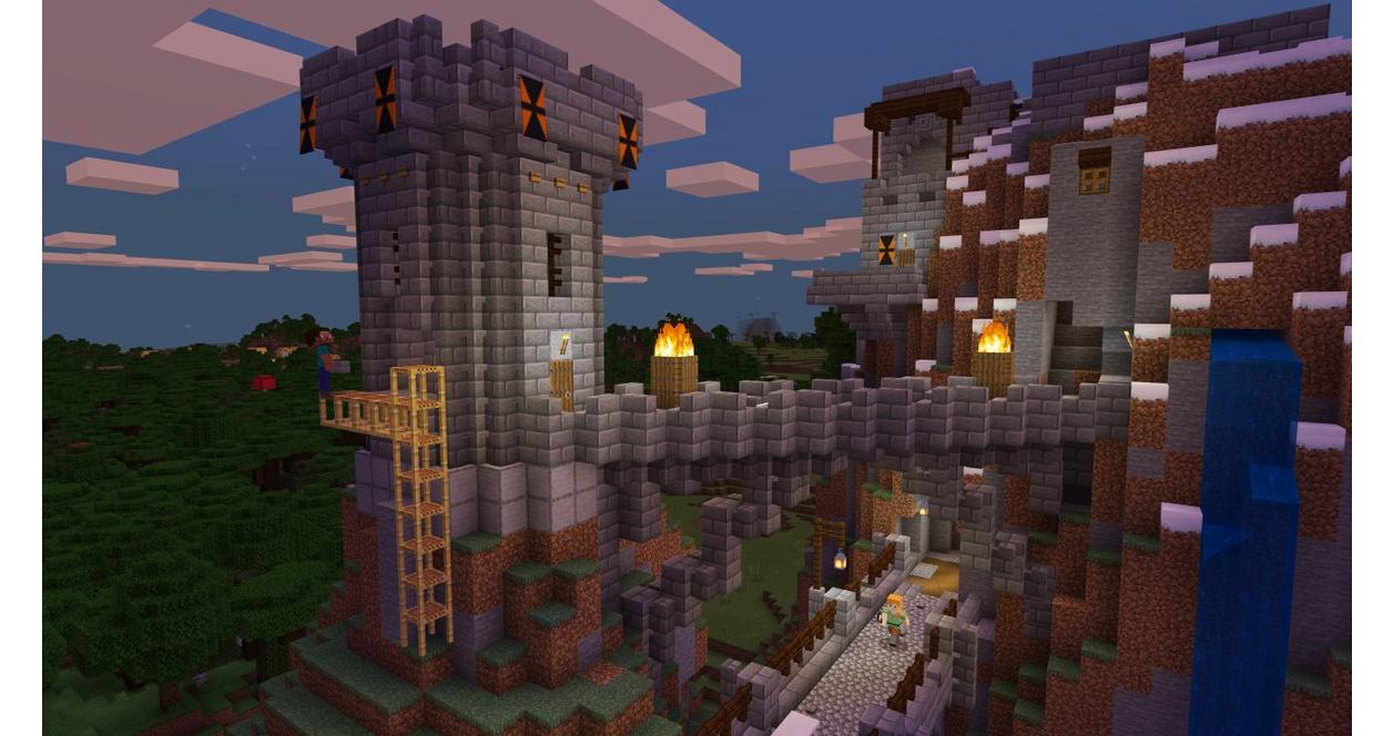 どうぶつの森 & Minecraft Nintendo Switch Amazon.co.jp: あつまれ どうぶつの森 -Switch ＋ Minecraft