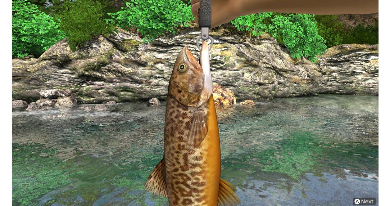 Reel Fishing: Days of Summer | Natsume | GameStop