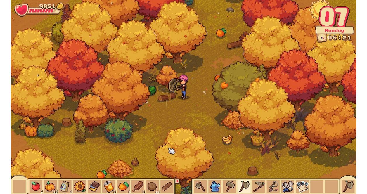 Orange Season - Nintendo Switch