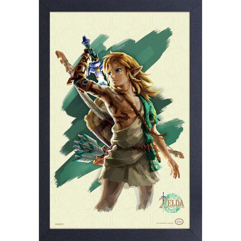 The Legend of Zelda Tears of the Kingdom Link 11x17 Wall Art