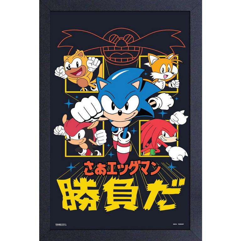 Sonic the Hedgehog Group 11x17 Wall Art
