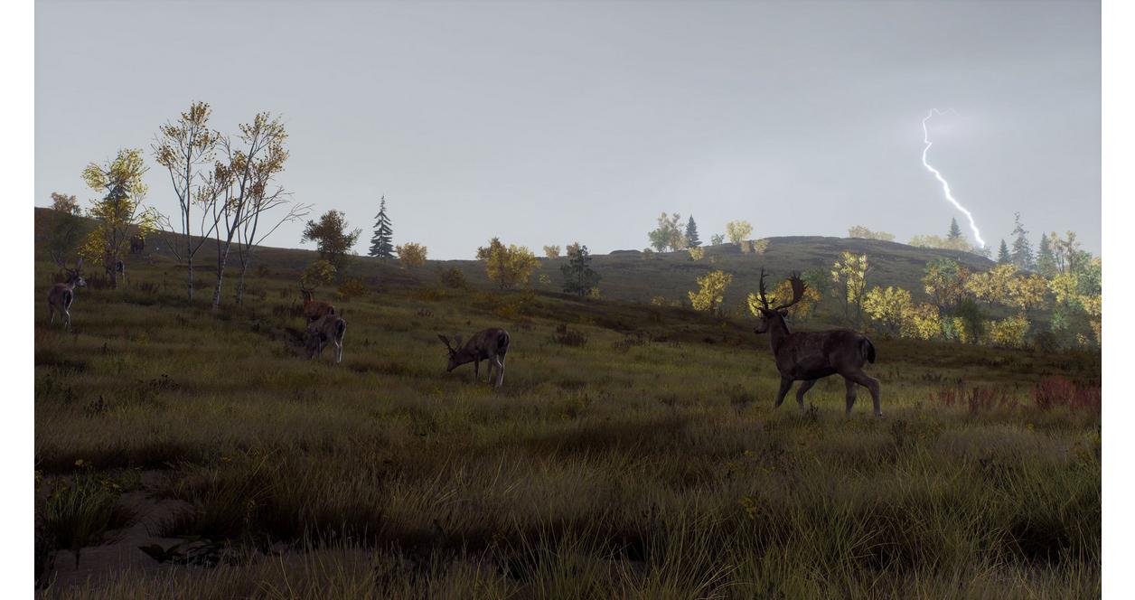 Way of the Hunter: Wild Expeditions - Xbox Series X
