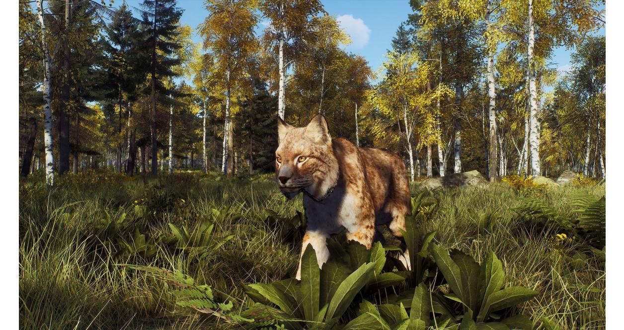 Way of the Hunter: Wild Expeditions - Xbox Series X