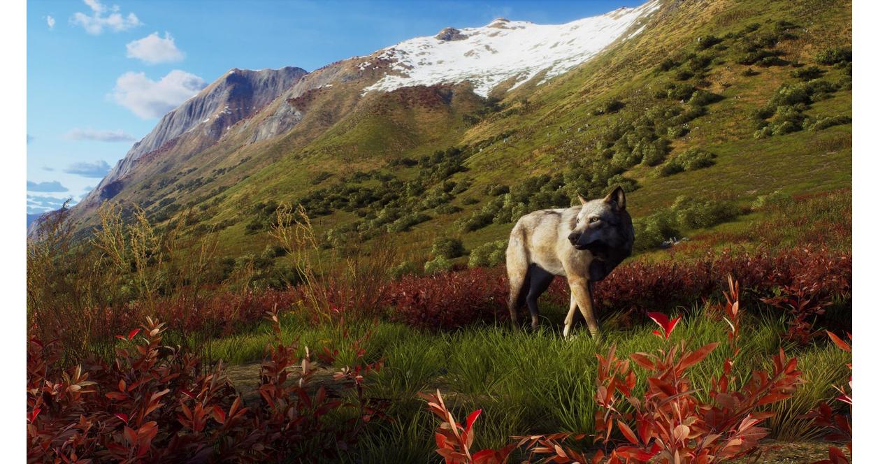 Way of the Hunter: Wild Expeditions - Xbox Series X