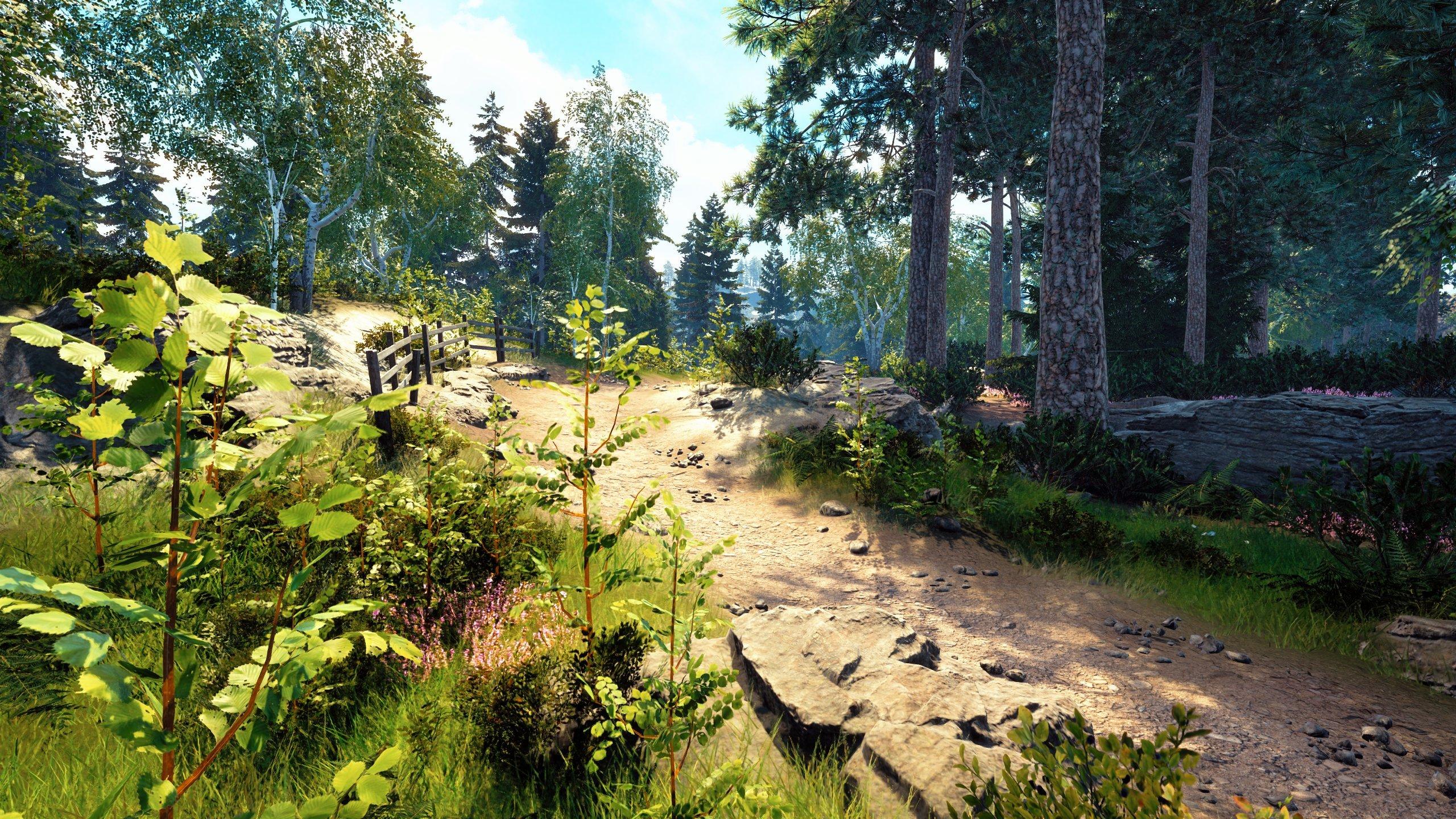 Windstorm: Start of a Great Friendship Remastered - PlayStation 5