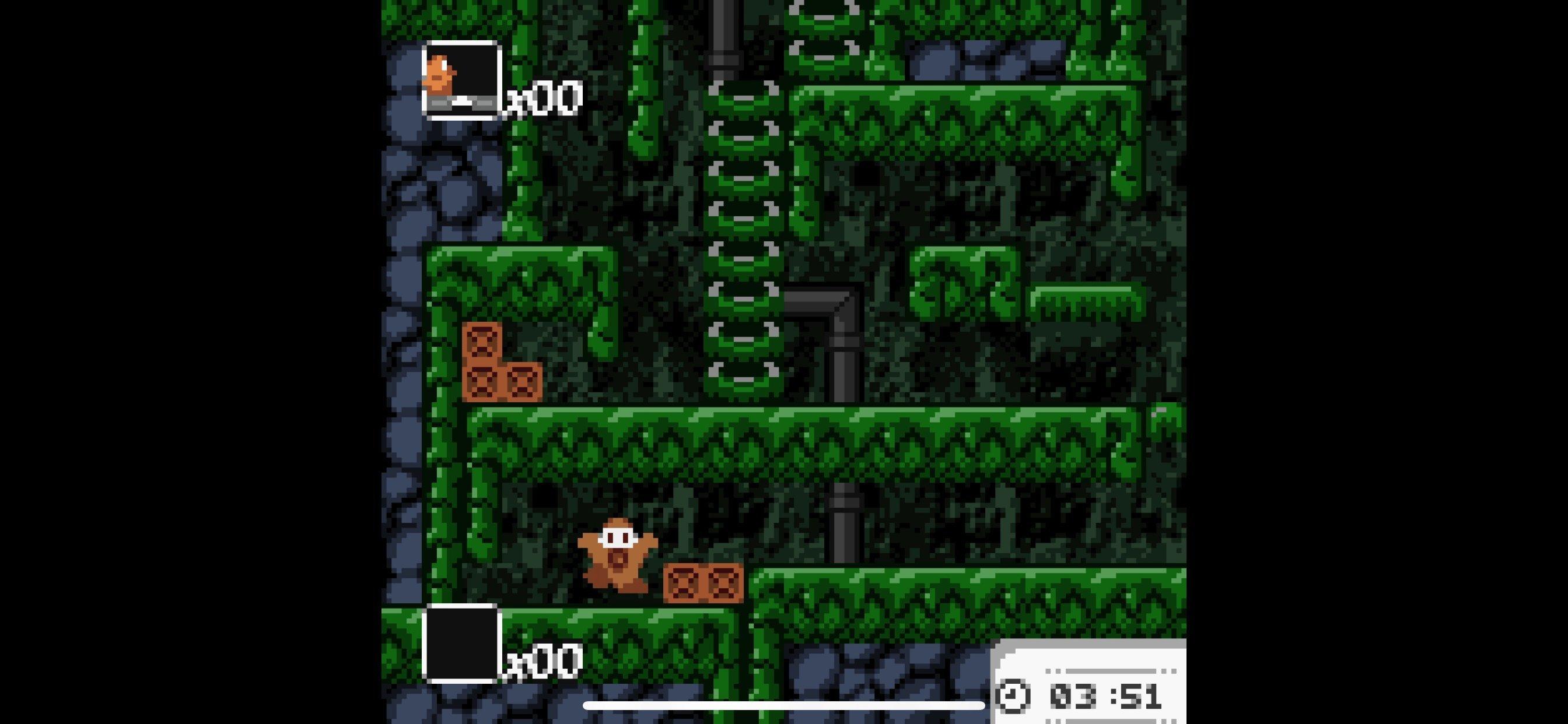 Toki Tori (Limited Run Games)