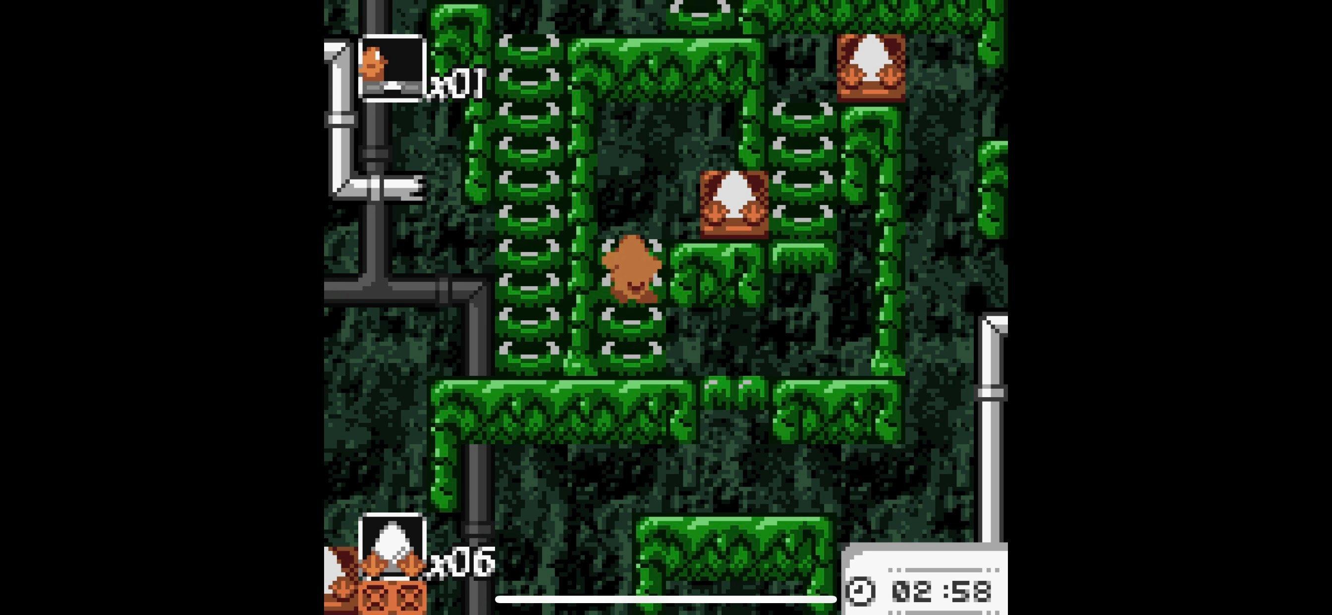 Toki Tori (Limited Run Games)