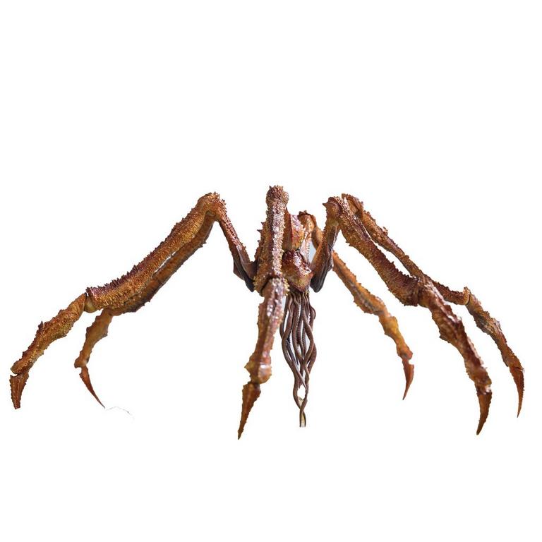 Hiya Toys Godzilla x Kong New Empire Exquisite Basic Previews