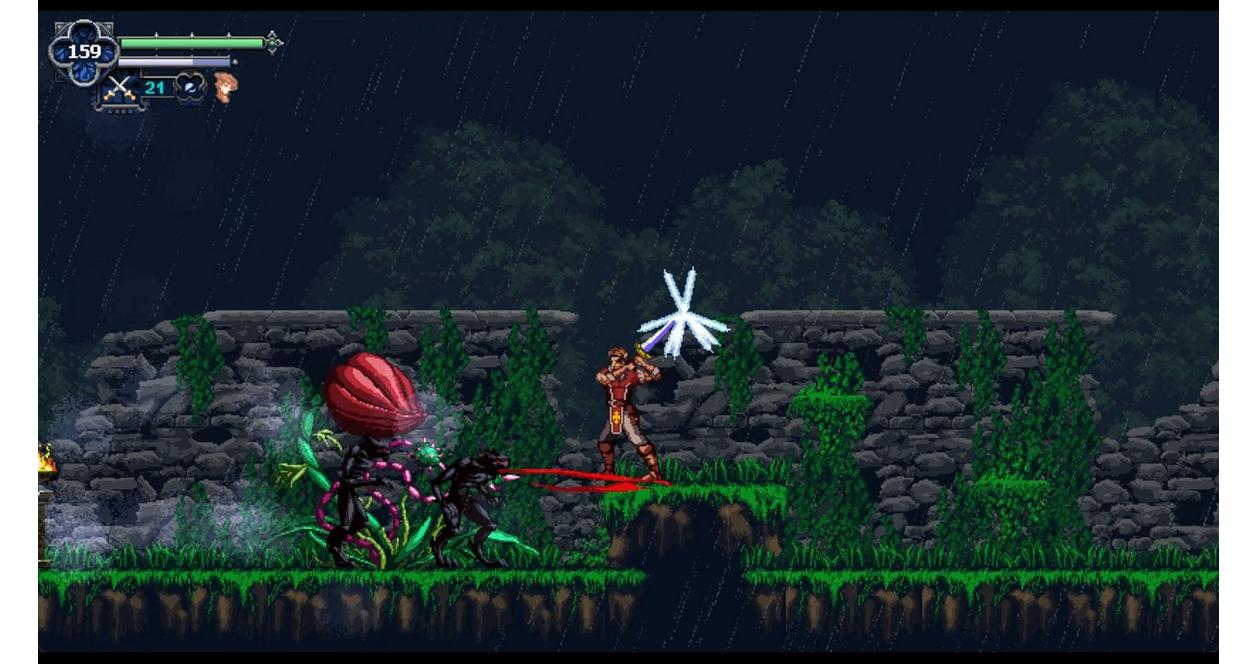 Chronicles of the Wolf - Nintendo Switch