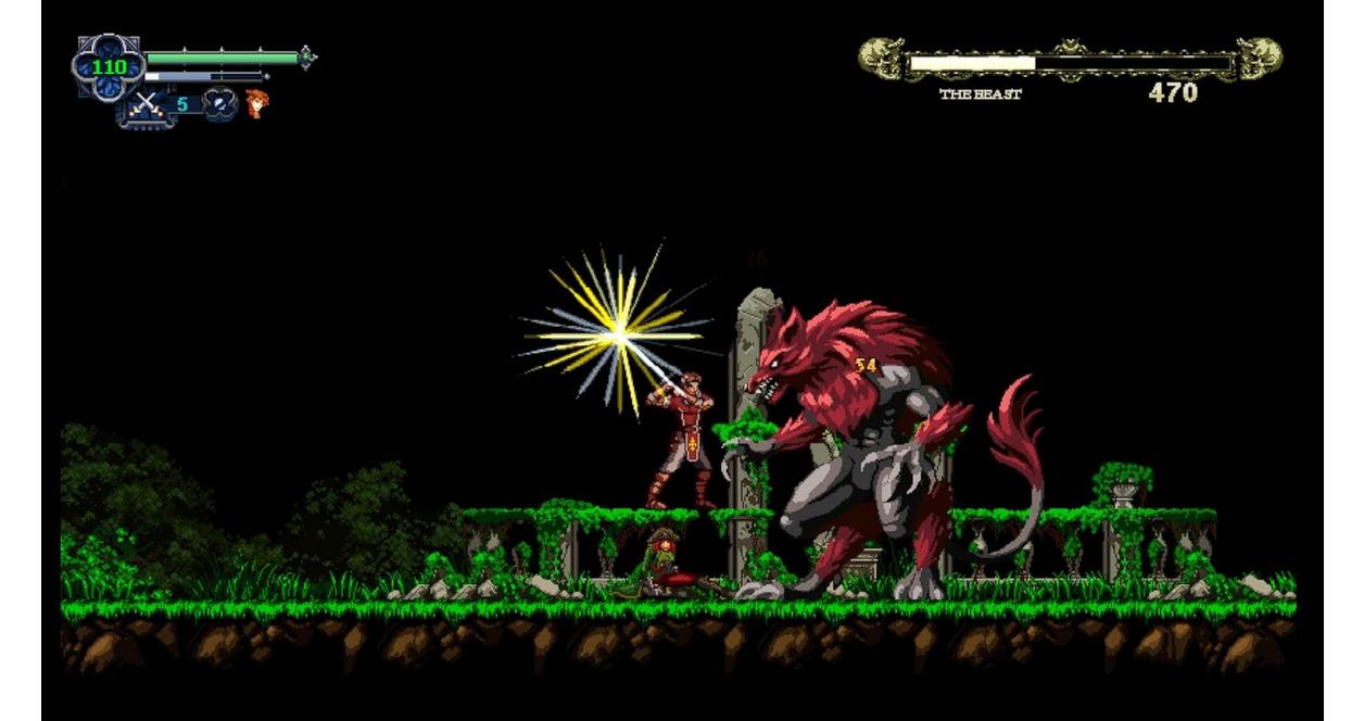Chronicles of the Wolf - Nintendo Switch