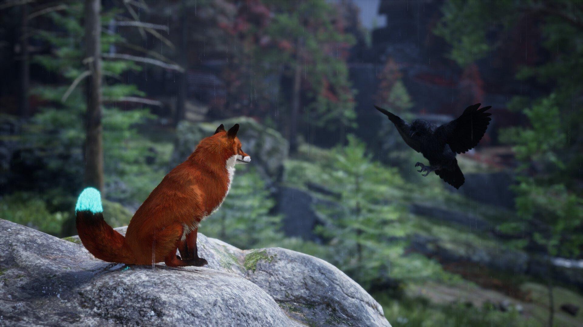 Spirit of the North 2 - PlayStation 5