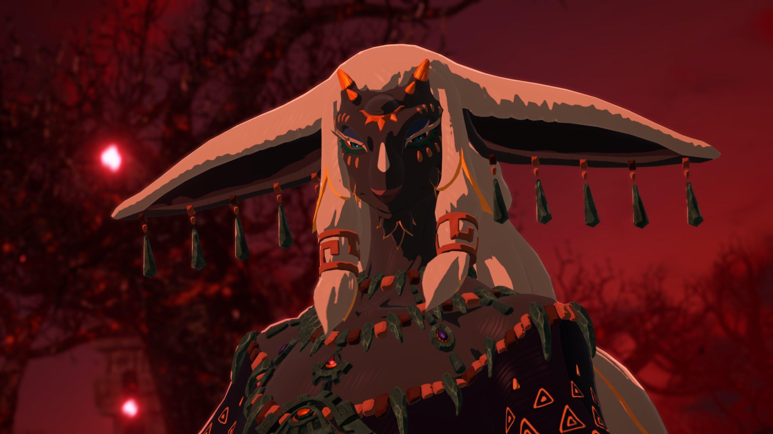 Hyrule Warriors: Age of Imprisonment - Nintendo Switch 2