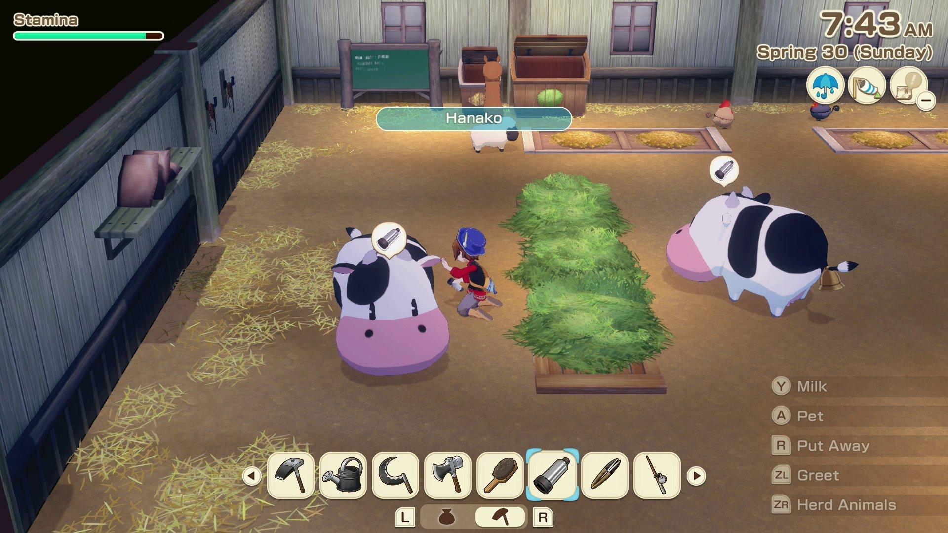 Story of Seasons: Grand Bazaar - Nintendo Switch 2