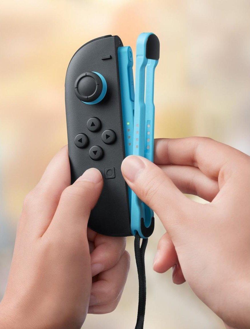 Nintendo Switch 2 Joy-Con 2 Strap (Styles May Vary)