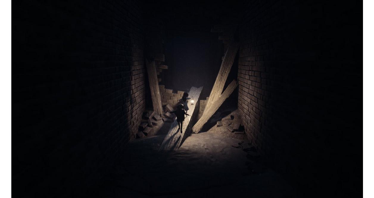 REANIMAL Collector's Edition - PlayStation 5