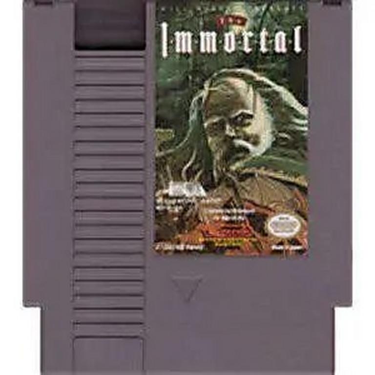 The Immortal - Nintendo (NES)