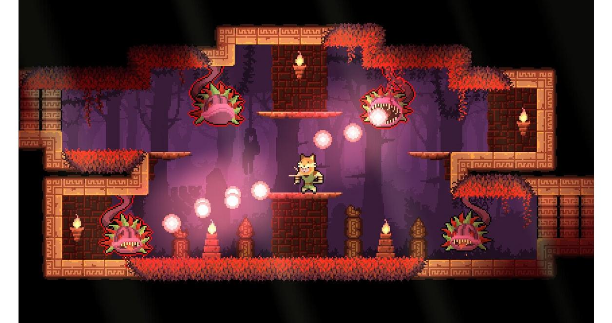 Dunjungle - Nintendo Switch