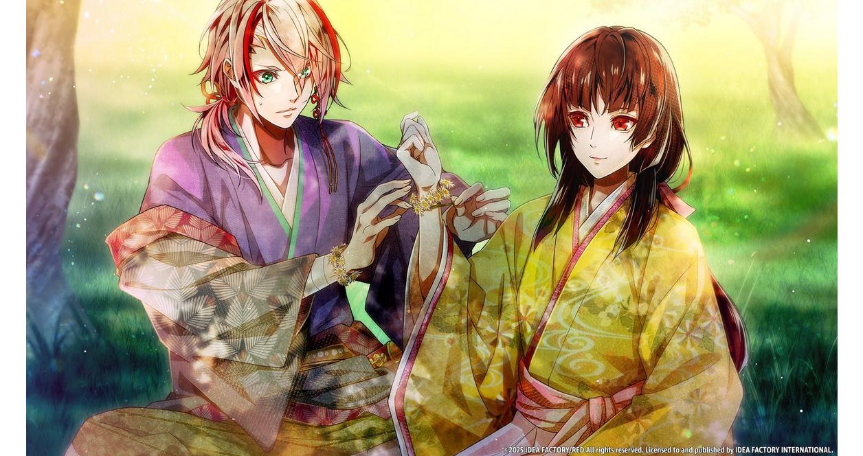 Birushana: Winds of Fate - Nintendo Switch