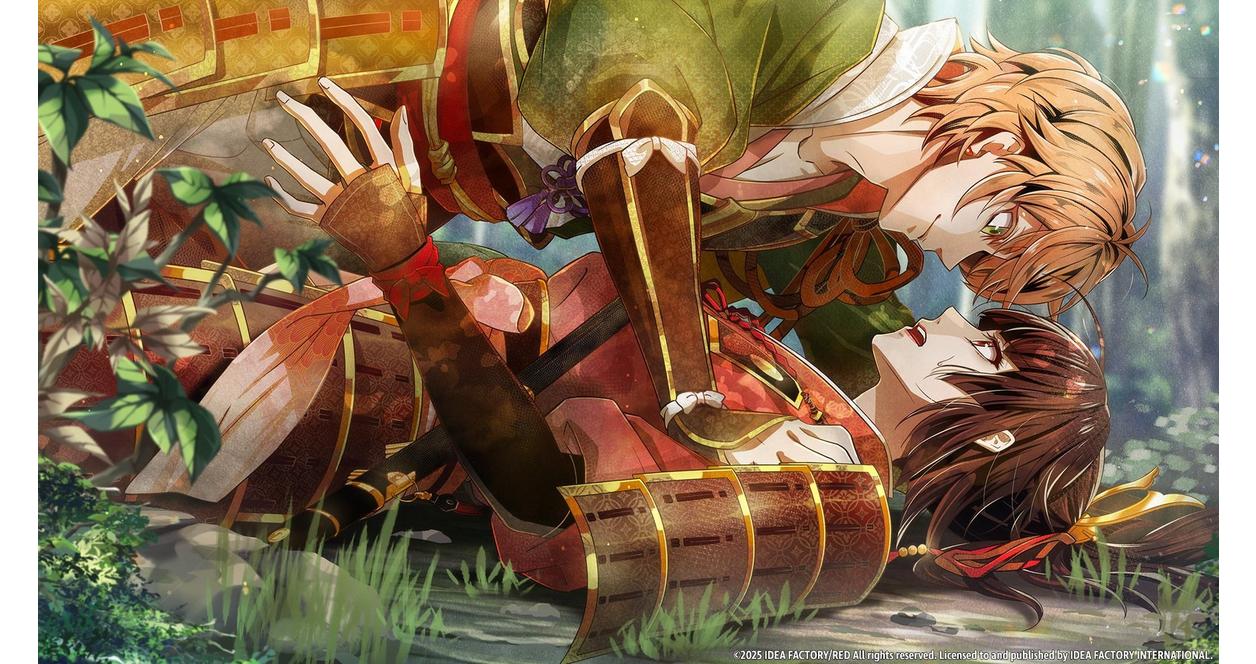 Birushana: Winds of Fate - Nintendo Switch