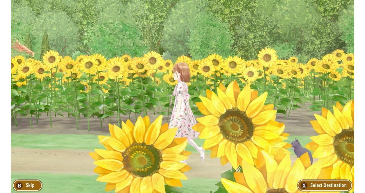 Magical Craft: My Enchanted Dress Shop - Nintendo Switch
