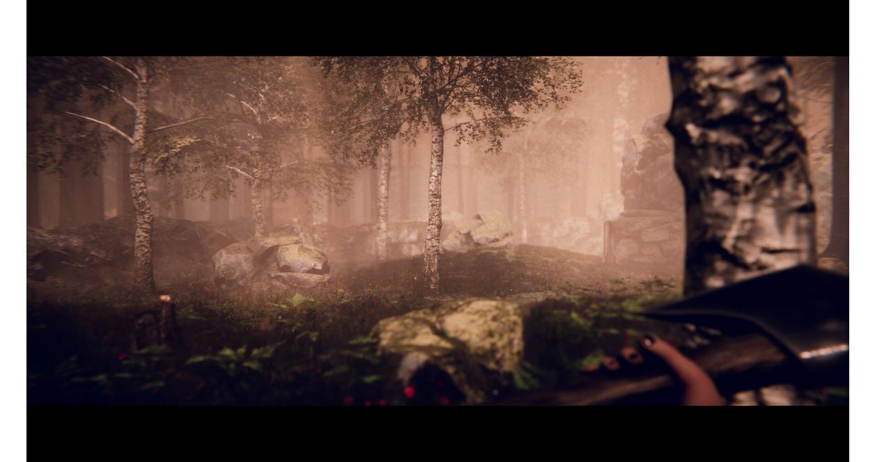Project Songbird - PlayStation 5