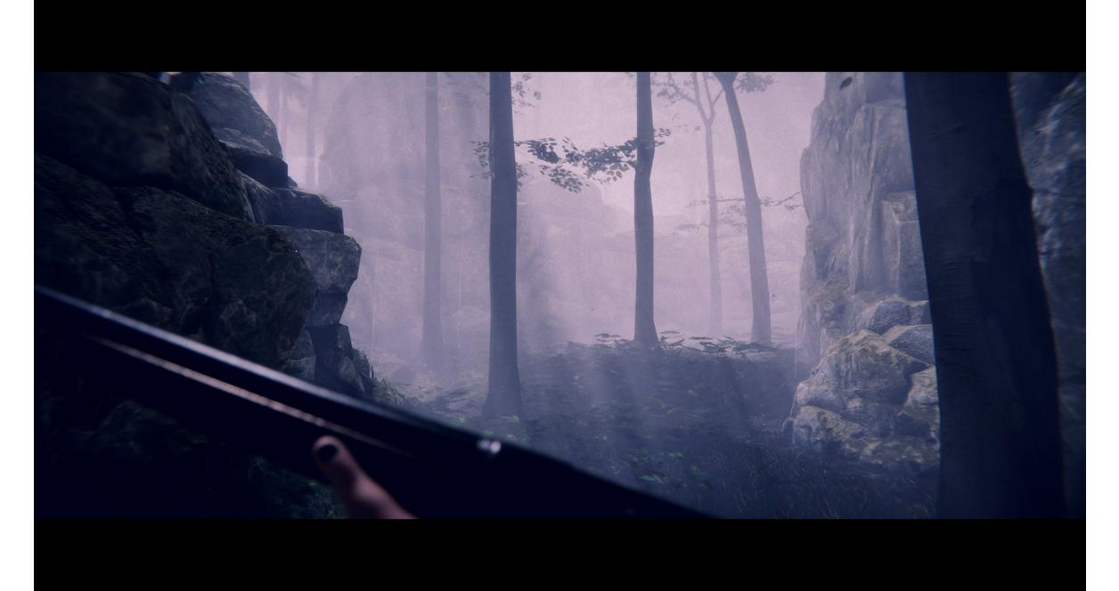 Project Songbird - PlayStation 5