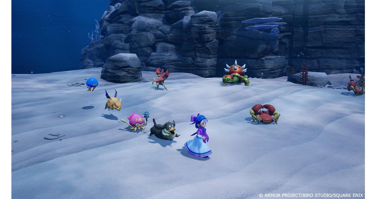 DRAGON QUEST MONSTERS: The Withered World - PlayStation 5