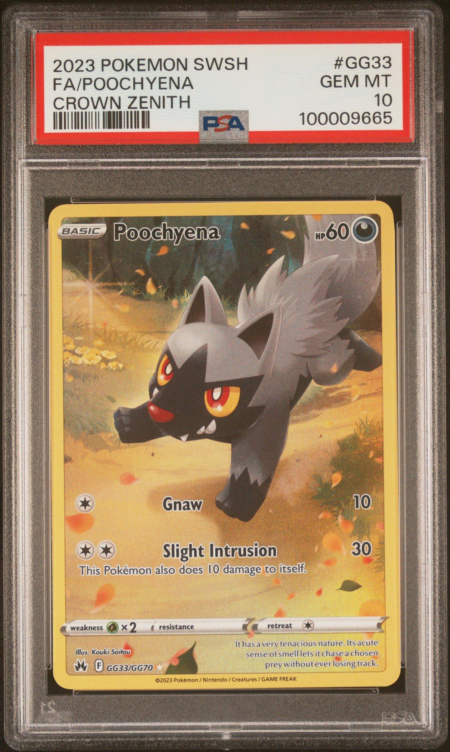2023 Pokemon Sword And Shield Crown Zenith Gg33 Full Art/poochyena